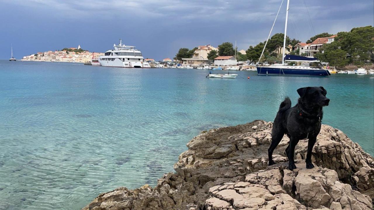 Stonewood Dalmacija Leilighet Primošten Eksteriør bilde
